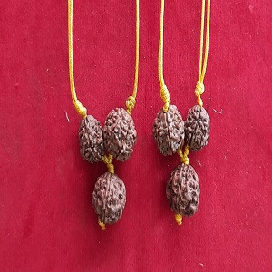 Saraswati Kavach of Rudraksha Mala | 1Bead of 3 Mukhi/Faceed,1Bead of 4 Mukhi/Faced, 1 Bead of 6 Mukhi/Faced Rudraksha | Natural | Positive Effect | Unisex Both for Boy & Girl