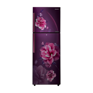 "Genuine" Samsung 253L Double Door Refrigerator - RT28C3221CR/IM