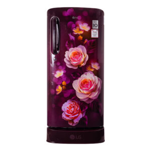 LG GLD205ASBB.ASBQ 190 Liter Single Door Refrigerator with Smart Inverter